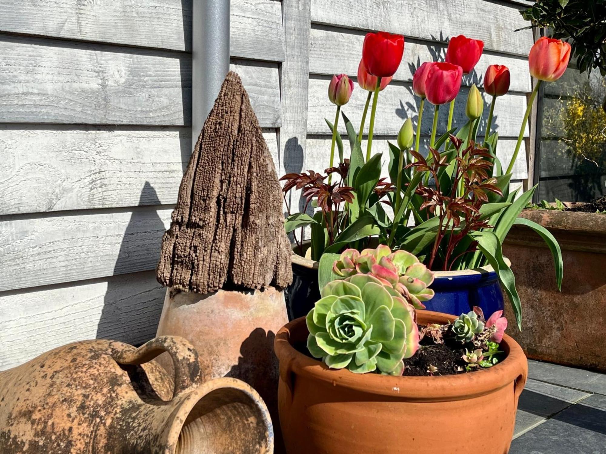 Cobblers Lodge Lyme Regis Ngoại thất bức ảnh